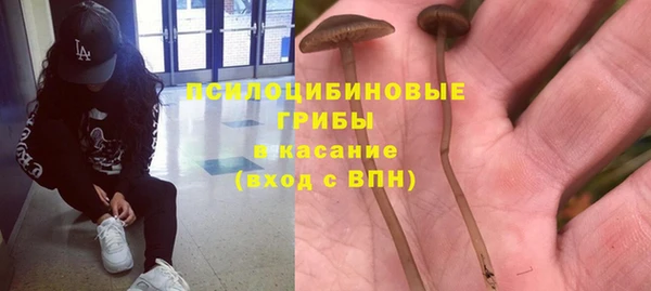бутират Аркадак