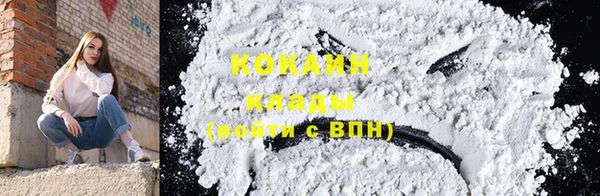 трава Арсеньев
