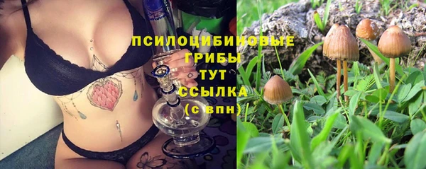 метадон Армянск