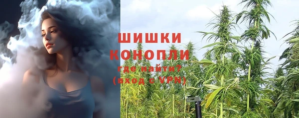 трава Арсеньев